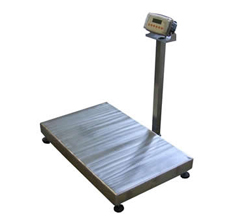 CUSTOM PLATFORM SCALES